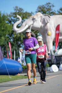 BIB: 
                            <button type="button" onclick="openModal(26544272)" class="btn btn-primary btn-sm float-right btn-popup" data-toggle="modal" data-target=".modal-high-quality">
                        <i class="fas fa-shopping-cart"></i> Add to Cart
                    </button>
                                            <button type="button" onclick="isThisMe(26544272, true)" class="btn btn-success btn-sm float-right btn-popup btn-isme hidden" data-toggle="tooltip" data-placement="bottom" title="นี่คือรูปของคุณใช่ไหม คลิกที่นี่เพื่อเอาเข้าอัลบั้ม">
                        <i class="fas fa-plus"></i> Add to album
                    </button>
                    <button type="button" onclick="isThisMe(26544272, false)" class="btn btn-warning btn-sm float-right btn-popup btn-isnotme hidden">
                        <i class="fas fa-ban"></i> Remove from album
                    </button>